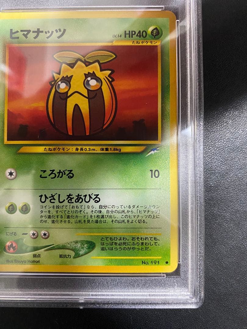 ヒマナッツ やさしいキマワリ 旧裏 PSA10 連番 世界で18枚