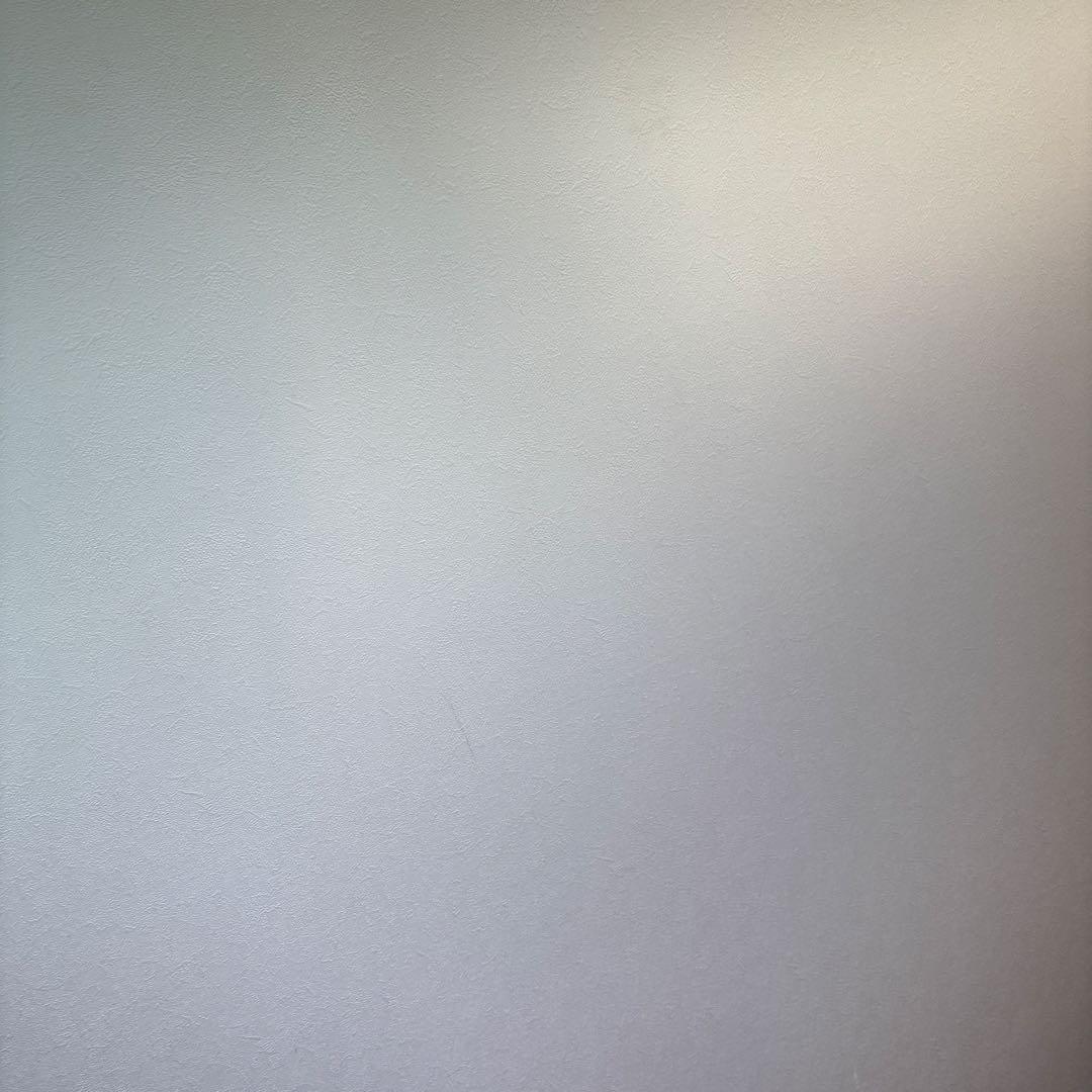 家の壁(確実正規品)