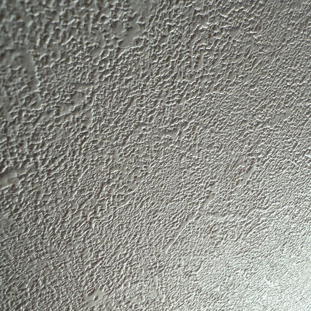 家の壁(確実正規品)