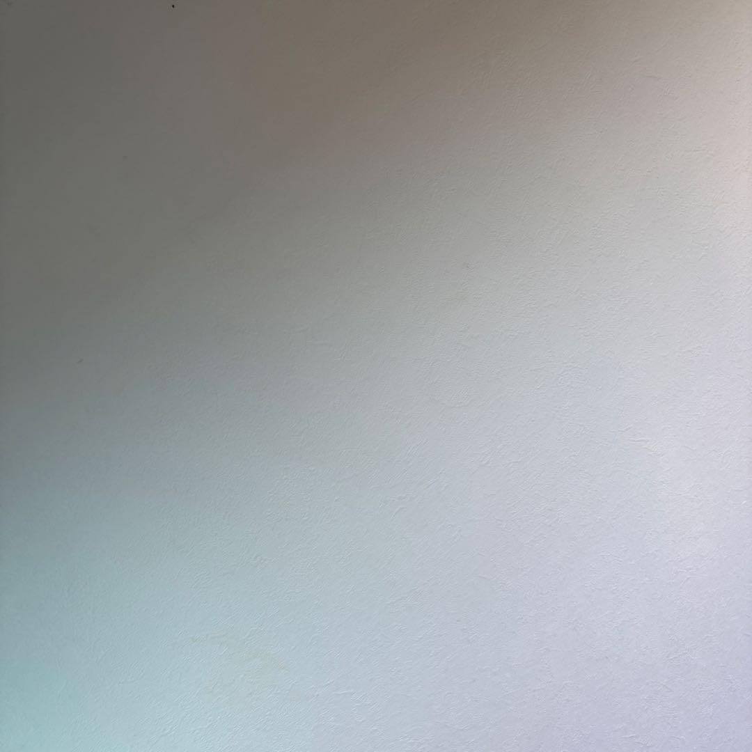 家の壁(確実正規品)