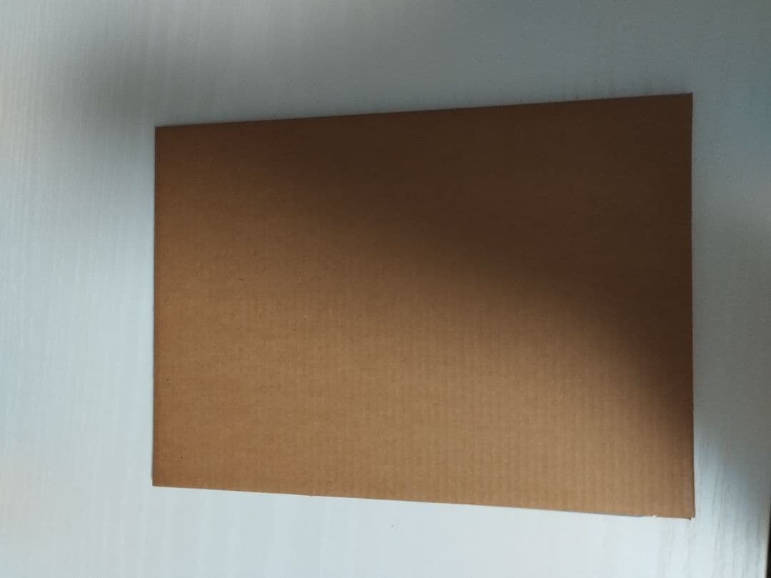 新品未開封 ロンドン自然史博物館Pikachu at the Museum 2枚