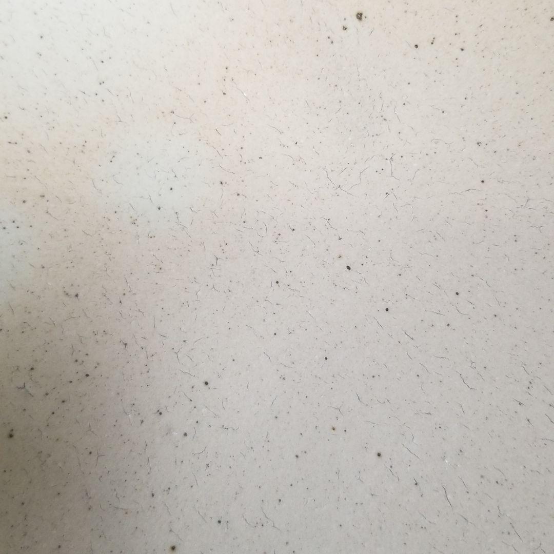 信楽焼 大皿  白窯変 直径３０cm