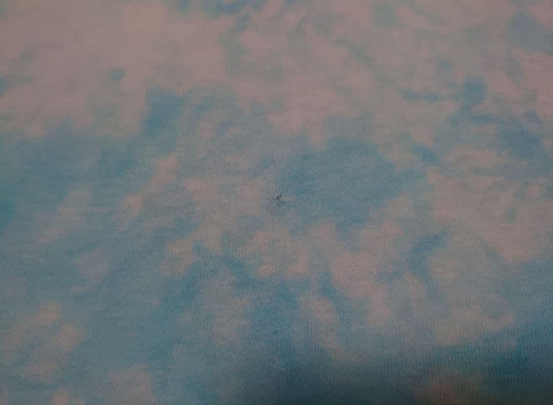 ★90's★LIQUID BLUE★Grateful Dead★タイダイTシャツ