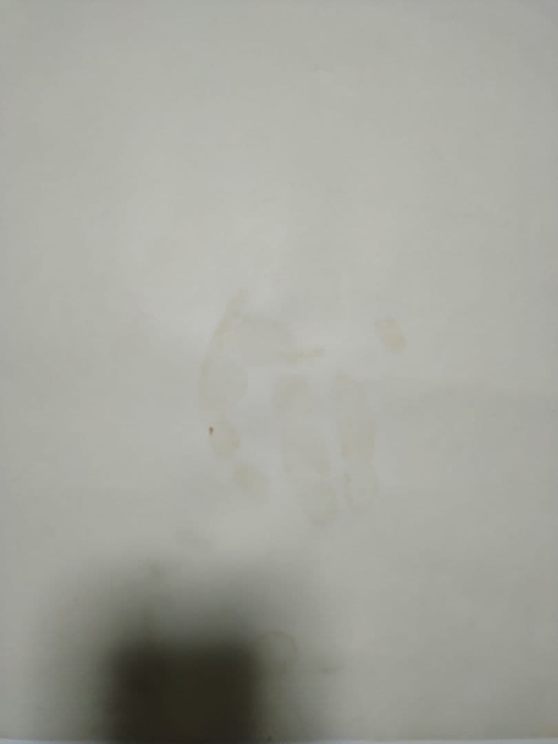 カプコン CAPCOM マジックソード　アーケード版　業務用B1ポスター当時品