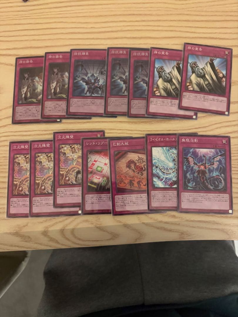 遊戯王OCG カードセット遊戯王　デッキ　巳剣　ライゼオル　デッキ