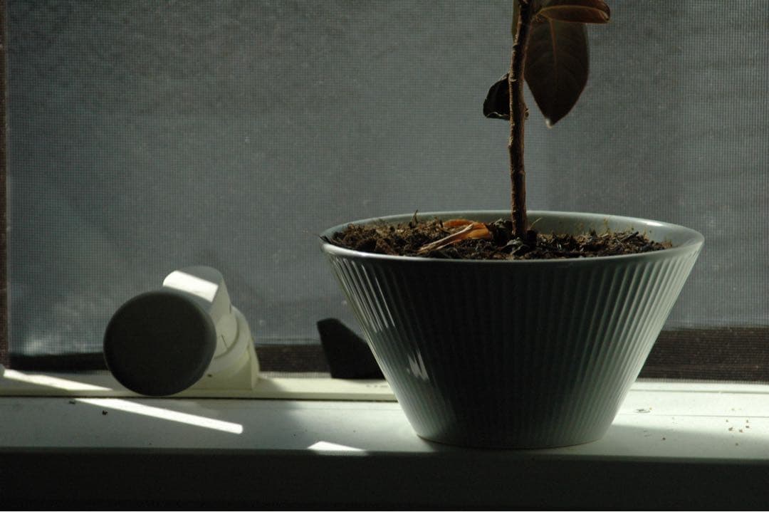 Nikon D70 CCDデジタル一眼　タムロン広角望遠　28-300 動作品