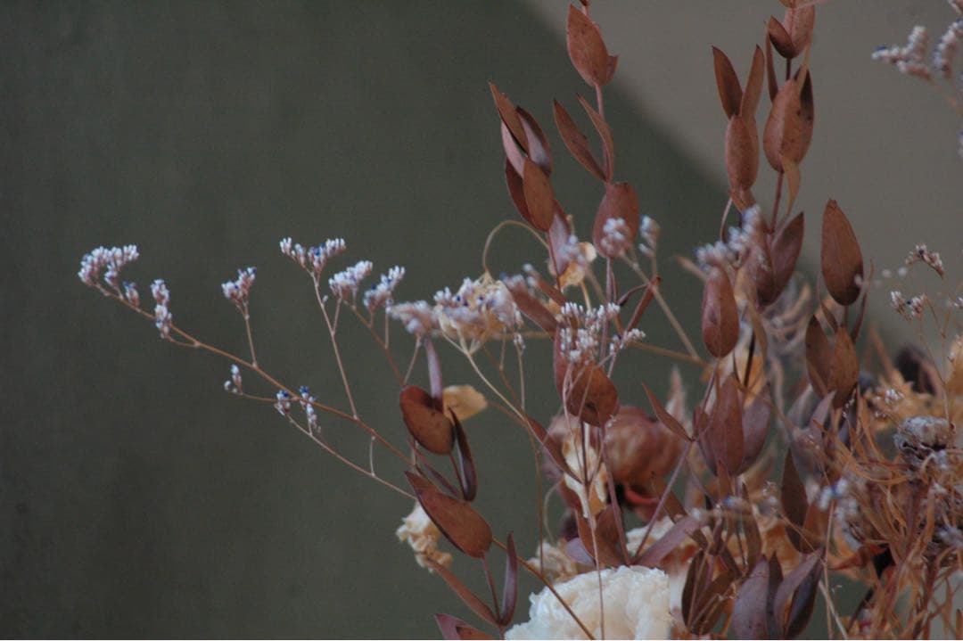 Nikon D70 CCDデジタル一眼　タムロン広角望遠　28-300 動作品