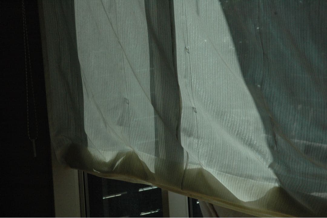 Nikon D70 CCDデジタル一眼　タムロン広角望遠　28-300 動作品