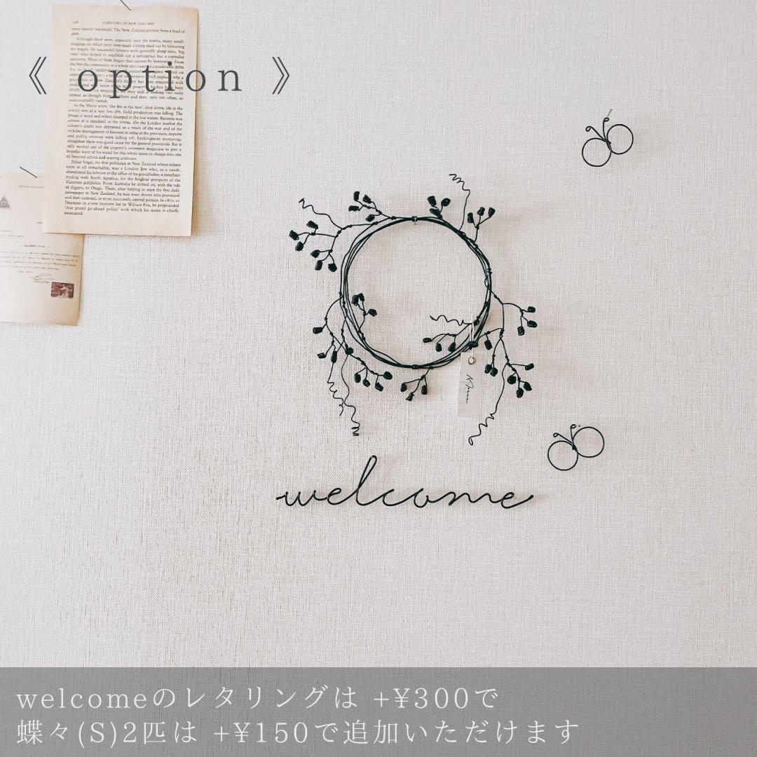 ✧︎*一点物✧︎*木の実と小枝のボタニカルワイヤーリース ナチュラルインテリア #4