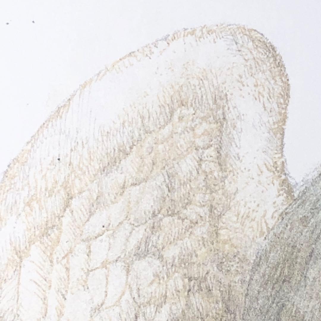 マリアの心臓　Maria's Heart