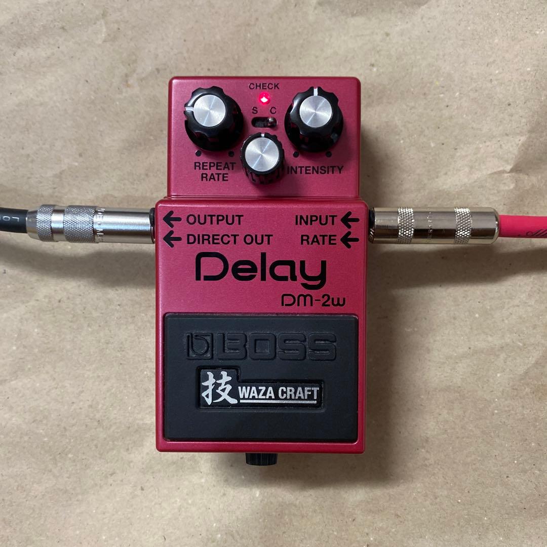 ギター BOSS DM-2W