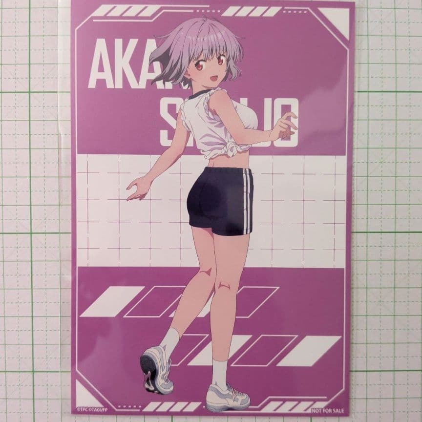 宝多六花 新条アカネ アクリルスタンド ポストカードコンプセット 体操服