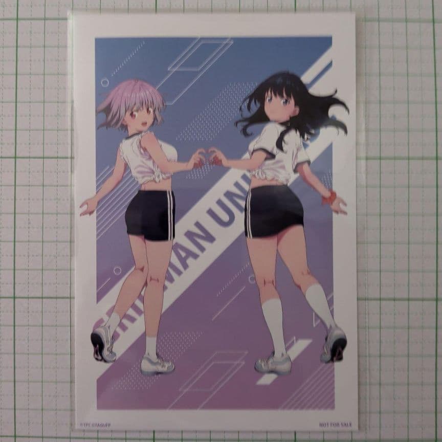 宝多六花 新条アカネ アクリルスタンド ポストカードコンプセット 体操服