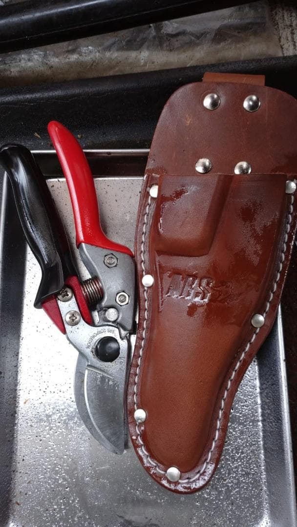 アルスコーポレーション アルス 剪定鋏ブイエスセブンロータリー VS-7Rp