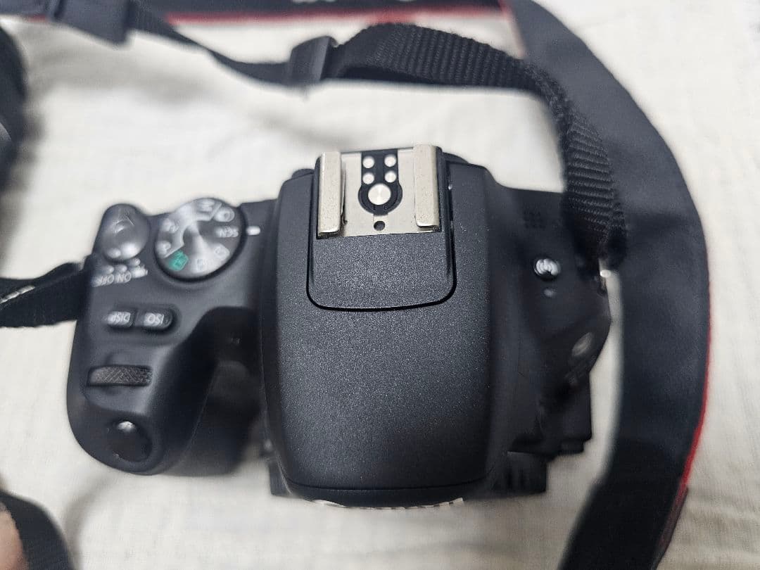 Canon EOS Kiss X9 本体＋レンズ2本