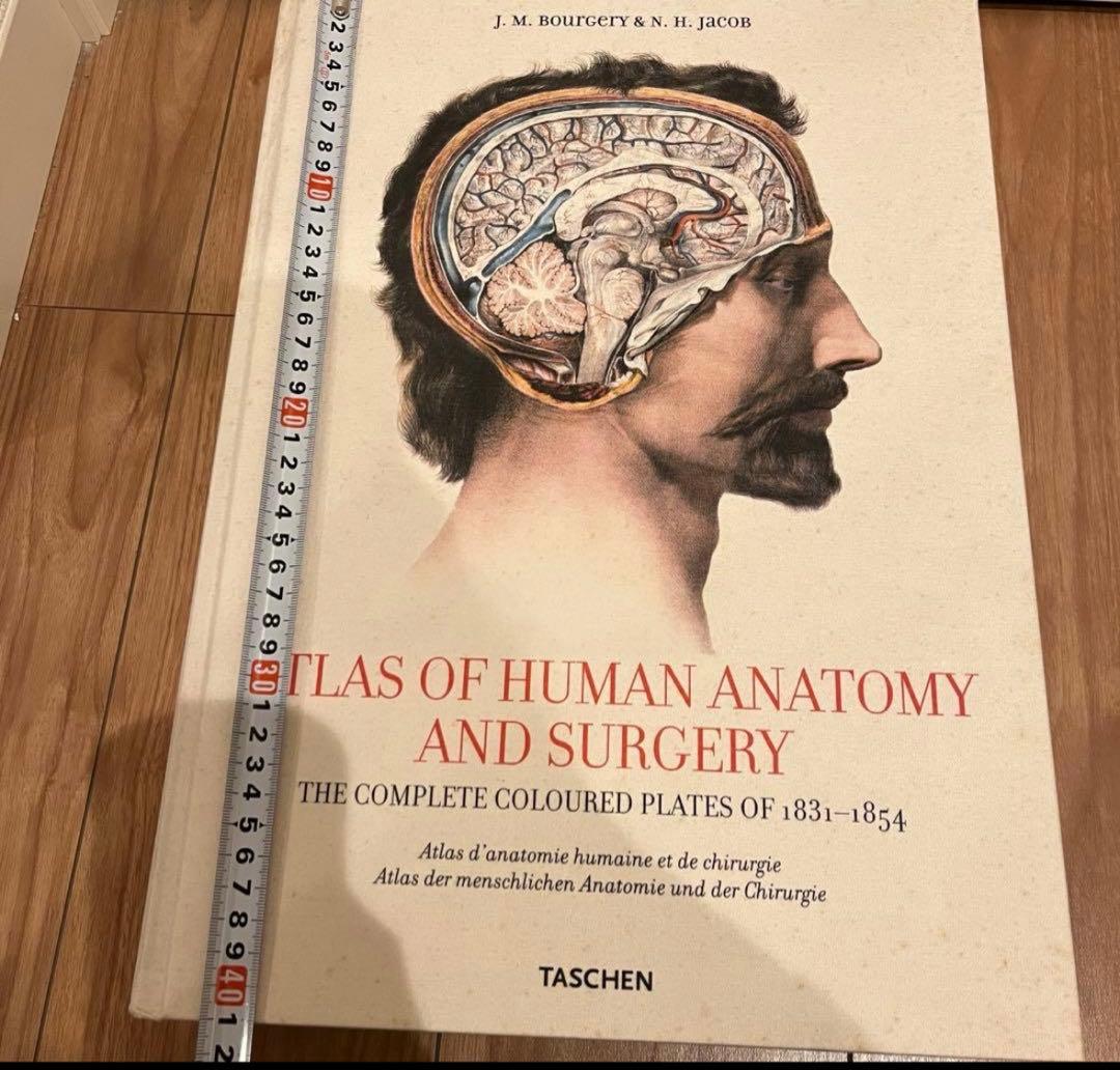 ATLAS OF HUMAN ANATOMY AND SURGERY 洋書　解剖