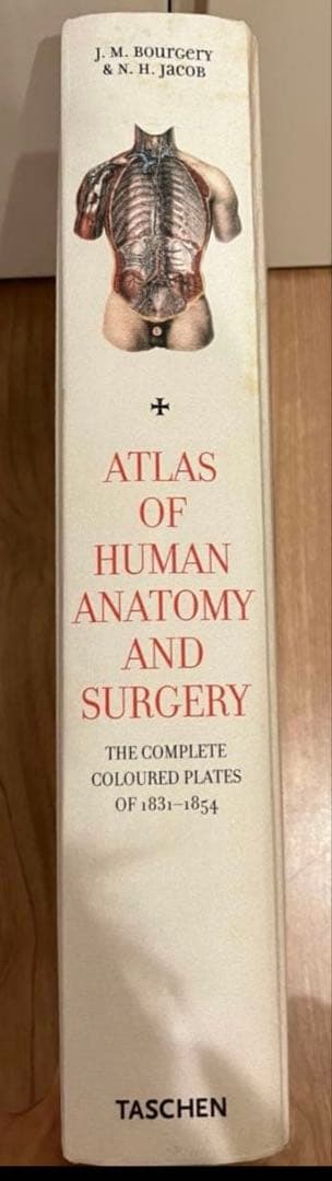 ATLAS OF HUMAN ANATOMY AND SURGERY 洋書　解剖