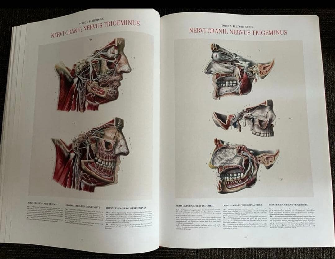 ATLAS OF HUMAN ANATOMY AND SURGERY 洋書　解剖