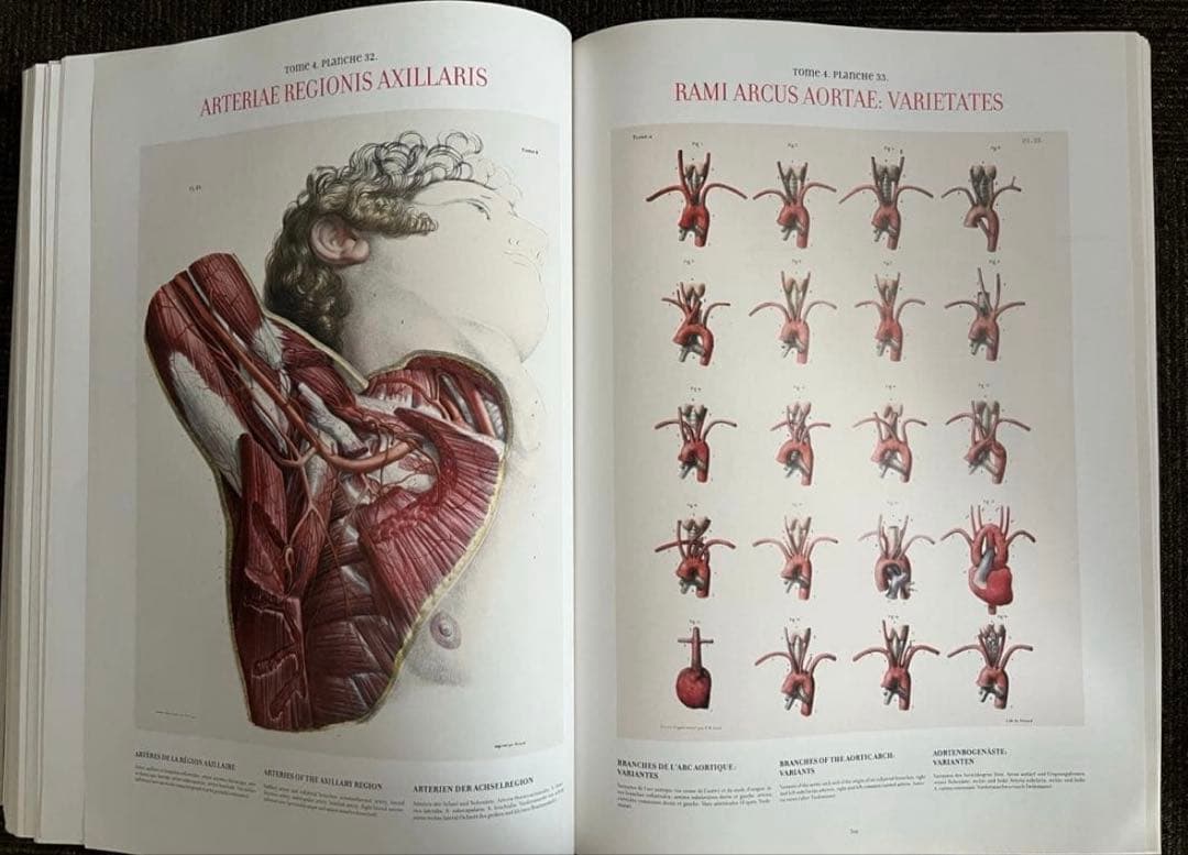 ATLAS OF HUMAN ANATOMY AND SURGERY 洋書　解剖