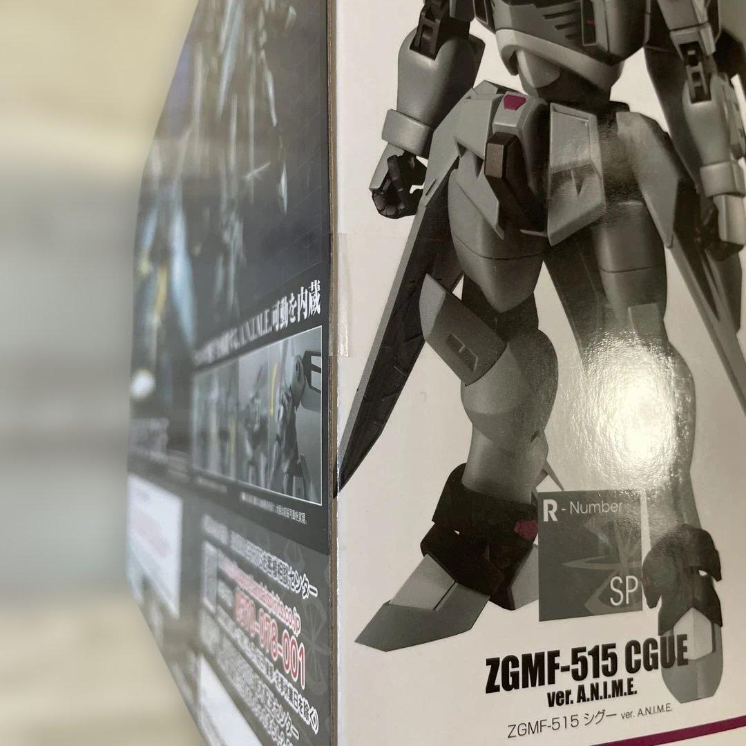ROBOT魂 SIDE MS ZGMF-515 シグー ver. ANIME
