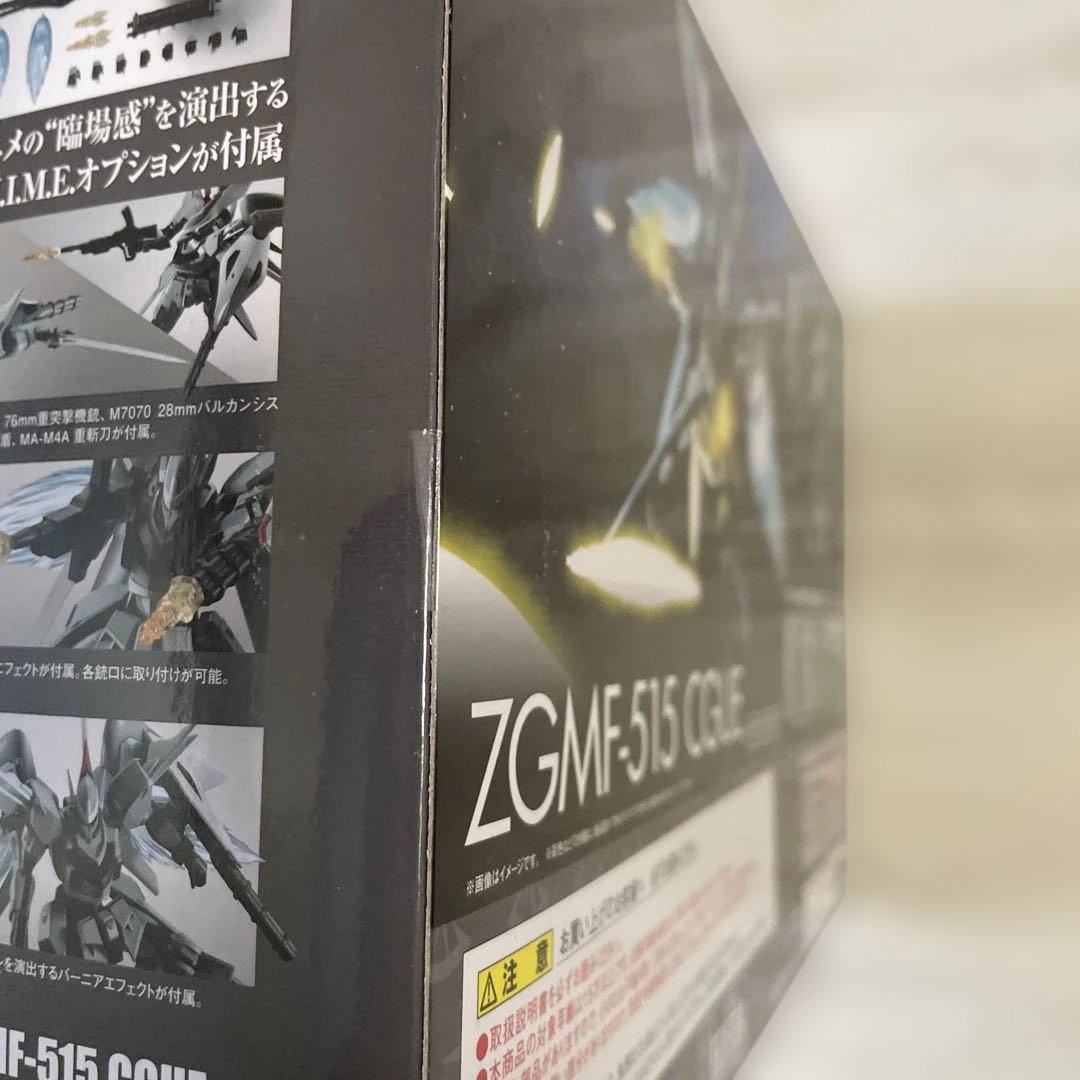 ROBOT魂 SIDE MS ZGMF-515 シグー ver. ANIME