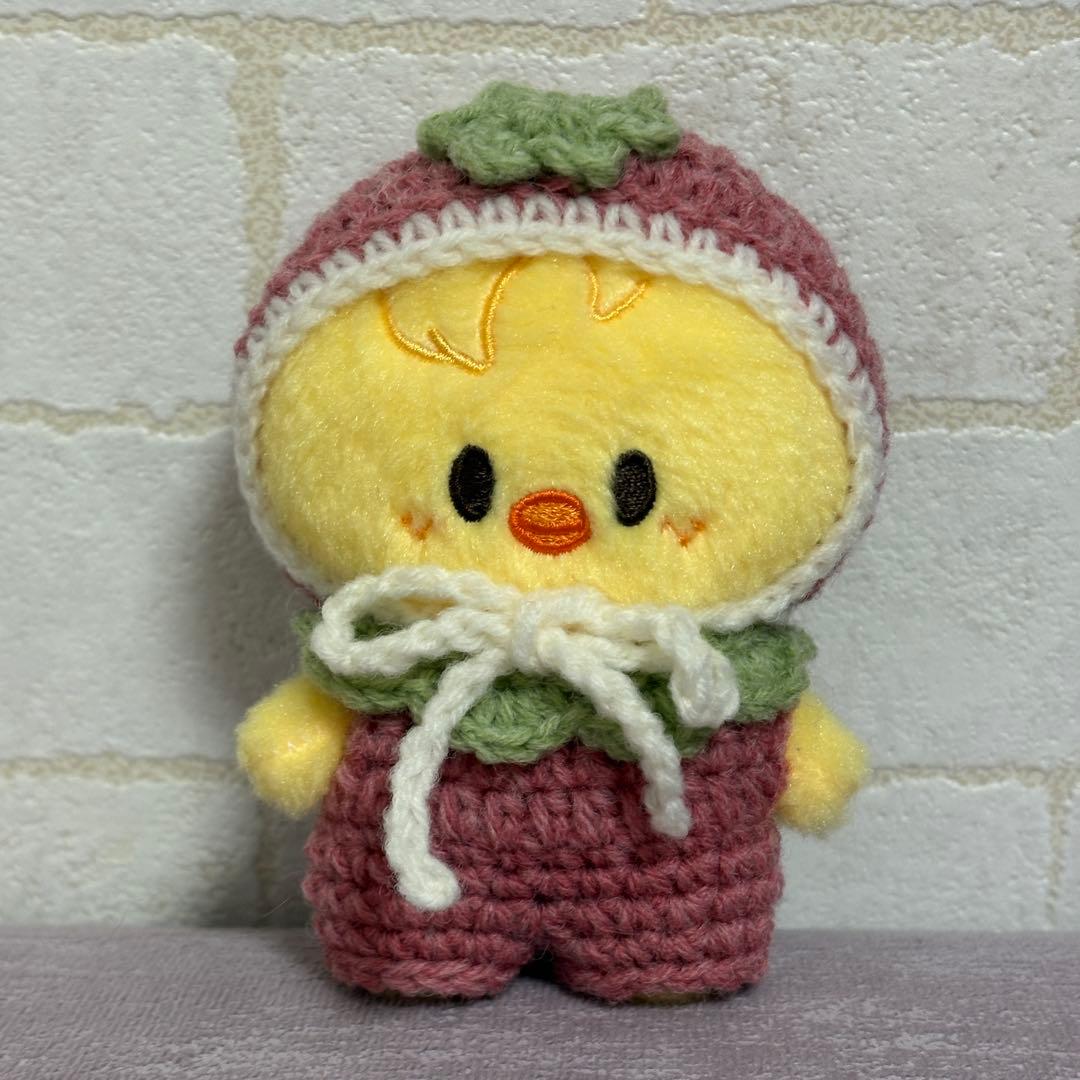 あひるのこ様　skzoo 10cm ぬいぐるみ　ぬい服　straykids