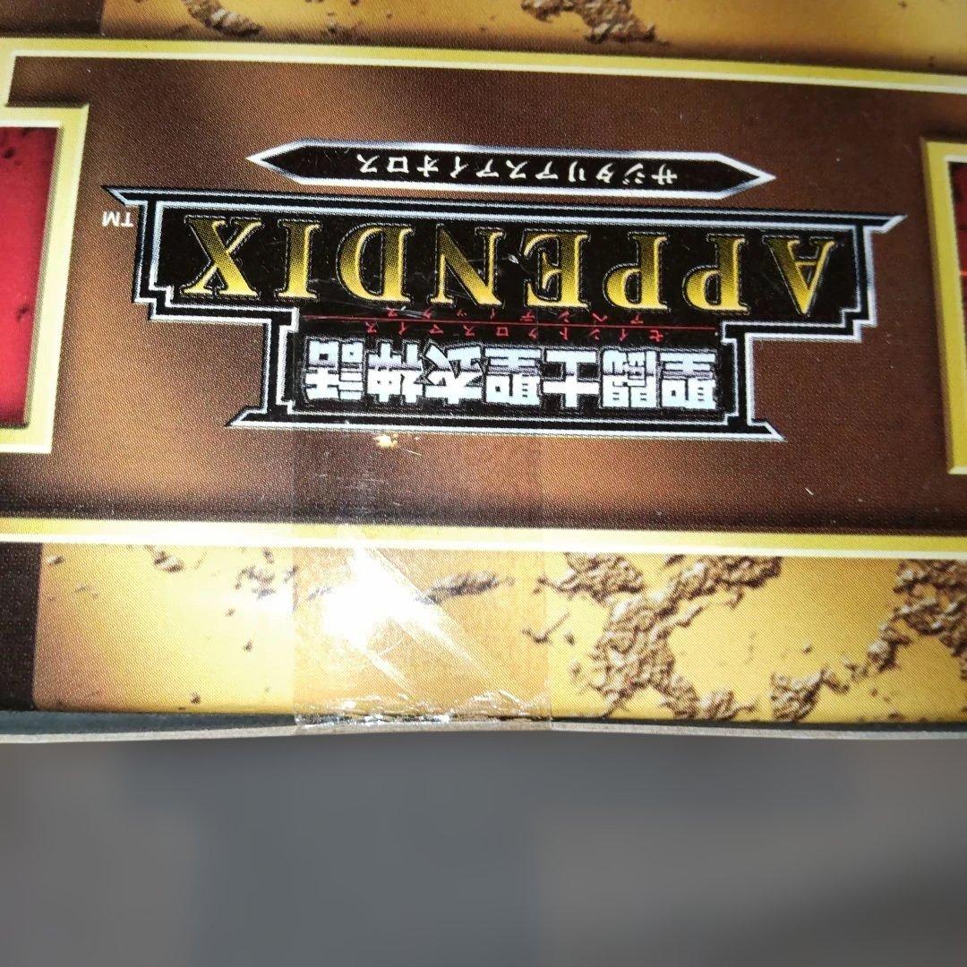 聖闘士聖衣神話 サジタリアスアイオロス、APPENDIXセット