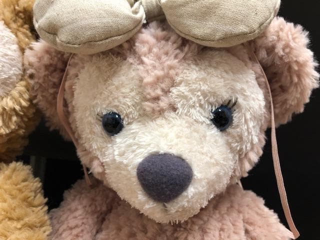 ダッフィー&シェリーメイ ぬいぐるみ ポーチ セット