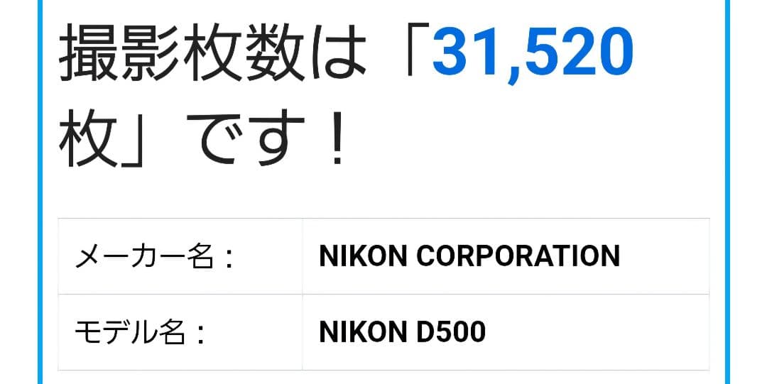 Nikon D500 シャッター回数 約3万ショット