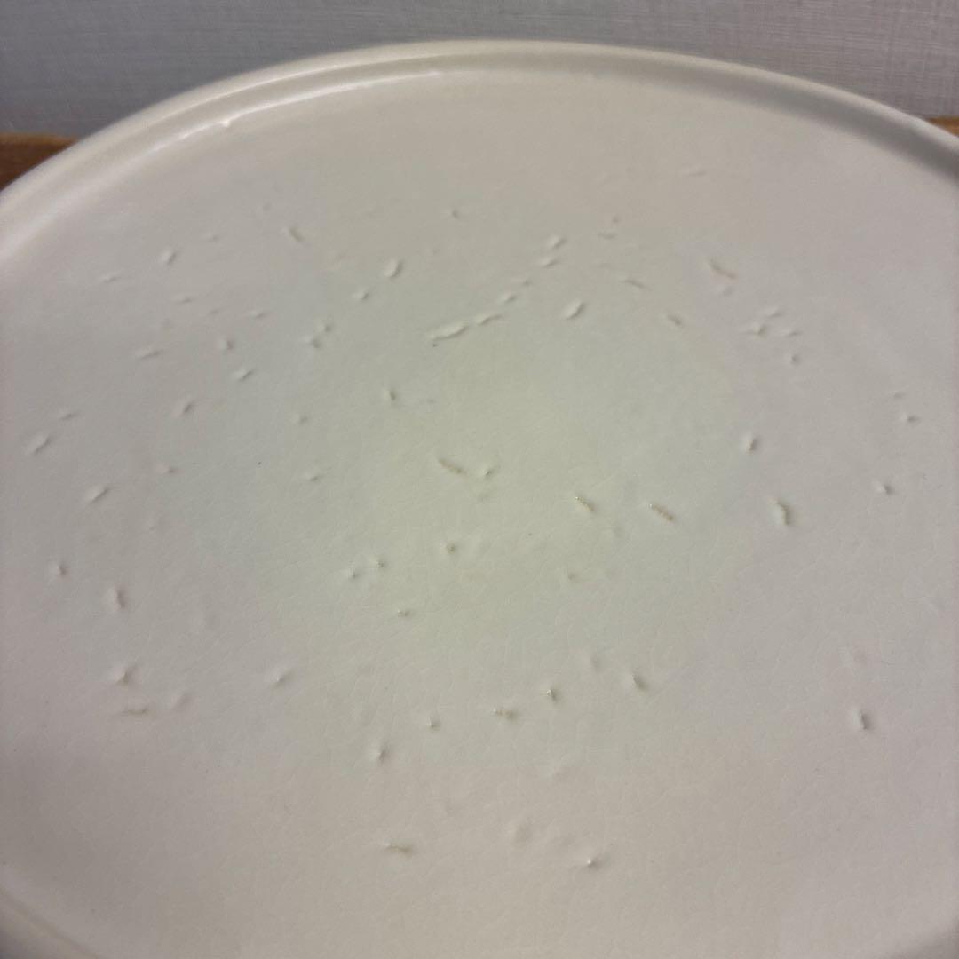 新品　陶器　陶芸作家　プレート皿3枚　301