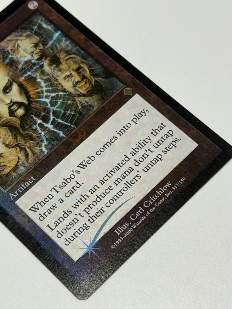 サーボの網　英語　FOIL