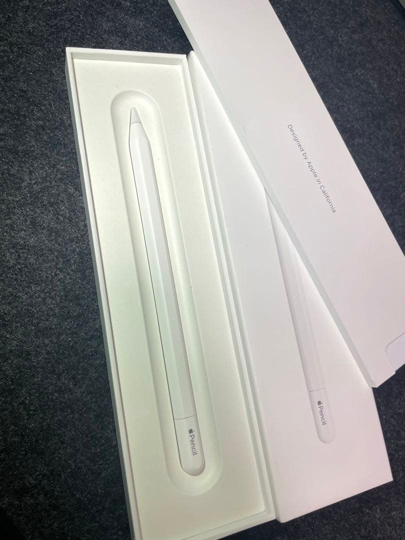 【ほぼ未使用】Apple Pencil (USB-C) 純正MUWA3ZA/A