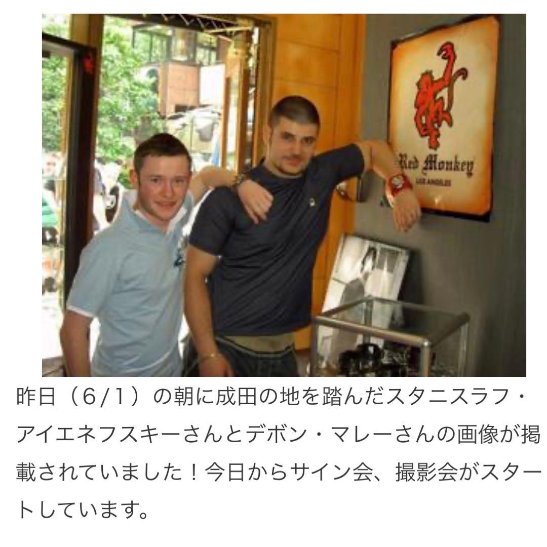 貴重　ハリーポッター　ビクトール・クラム　杖　サイン入り　レア　初期　トルソー