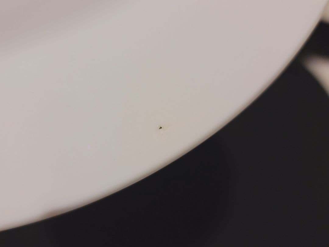 イタリア Quadrifoglio(クアドリフォリオ) 皿 26cm 3枚 レア