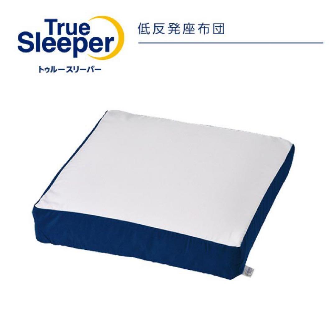 新品　トゥルースリーパー　低反発座布団　クッション　2点セット　送料無料