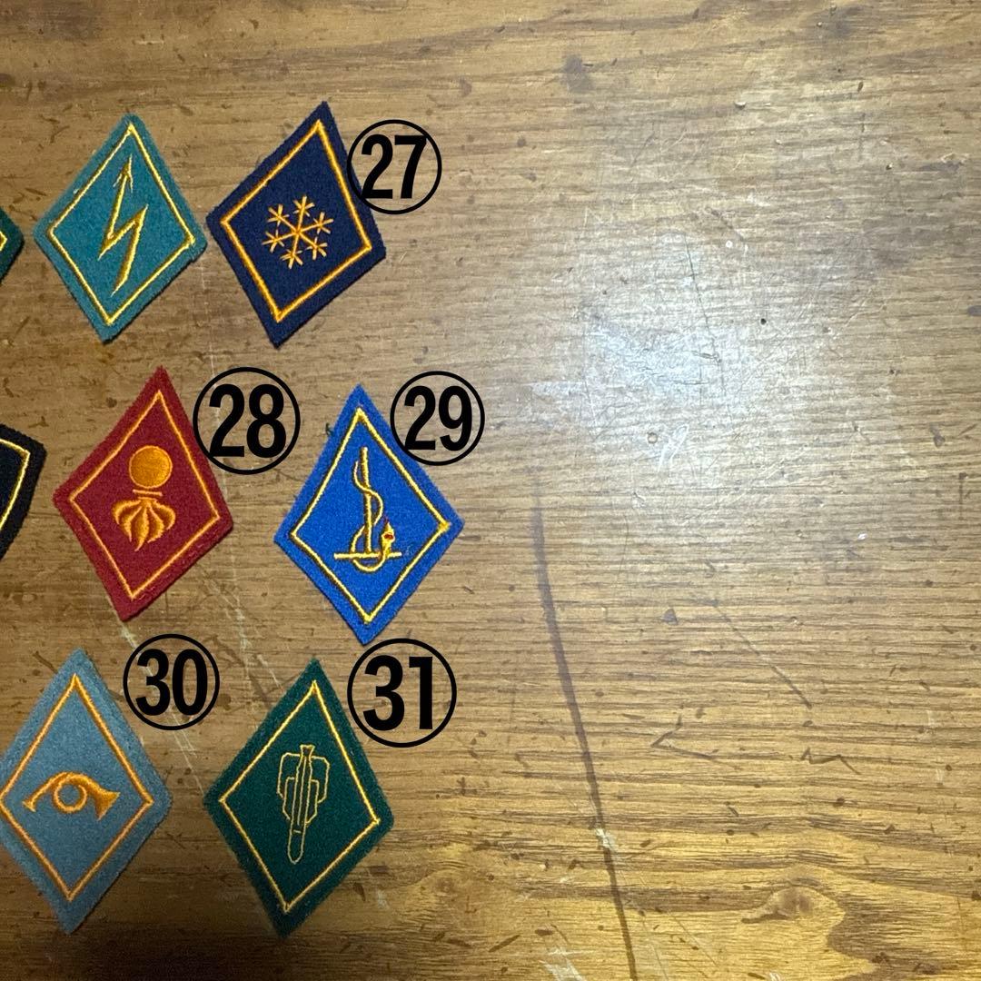 スイス軍　襟章