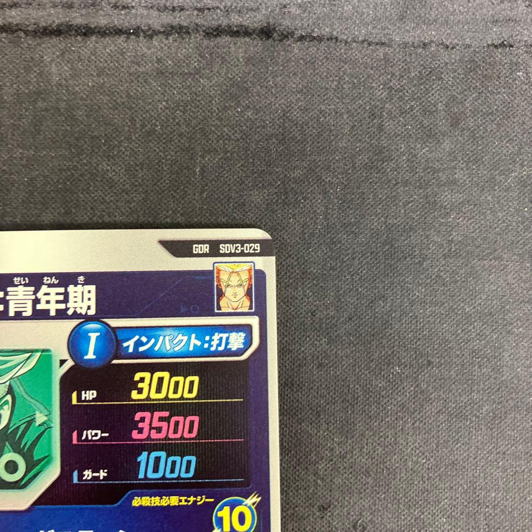 SDV3-029 GDR トランクス:青年期