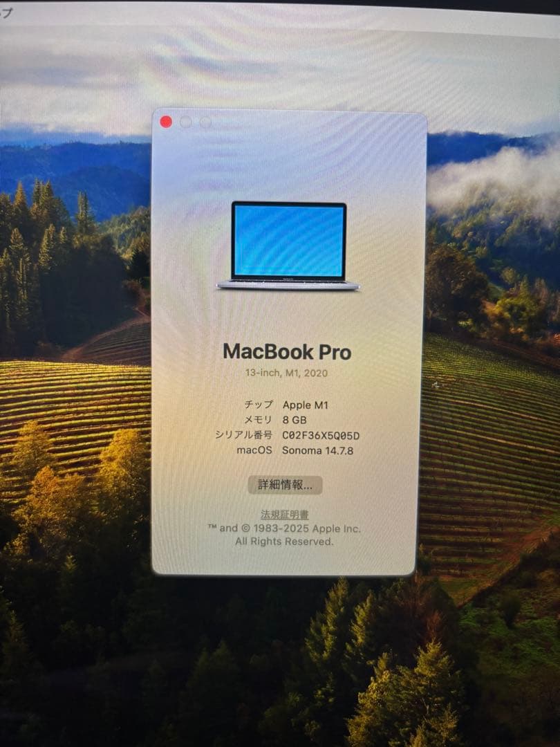 【最終値下げ】Apple MacBook Pro 13インチ (M1,2020)