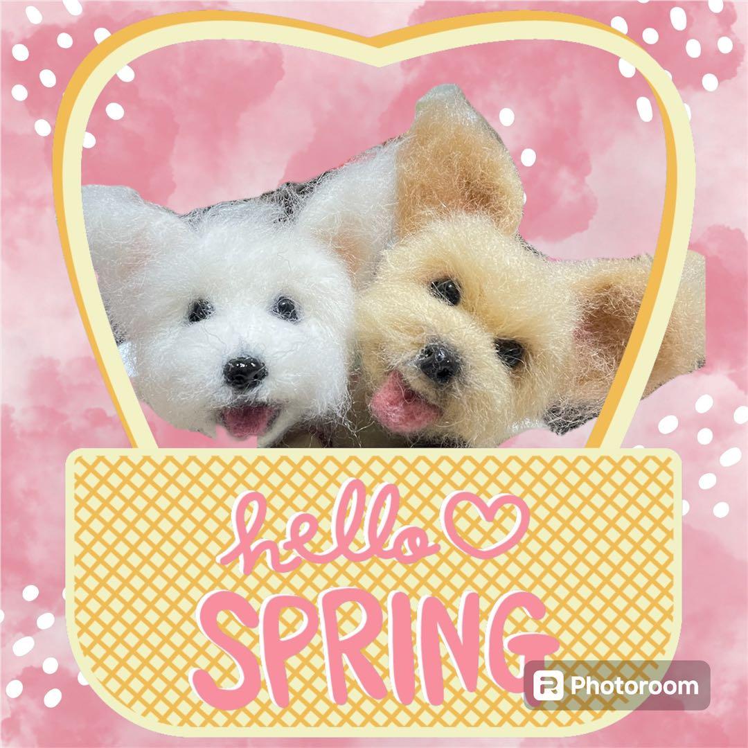 ☆rara ご確認用 ヨークシャーテリア ヨーキー