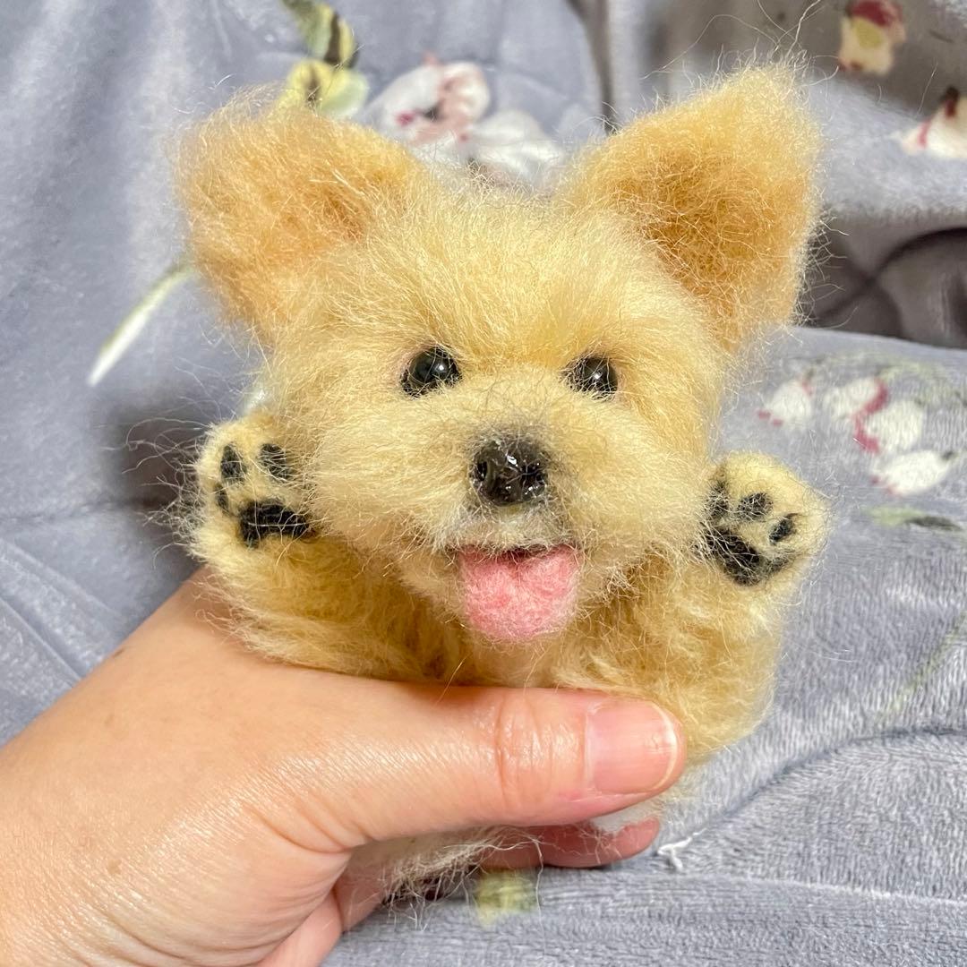 ☆rara ご確認用 ヨークシャーテリア ヨーキー