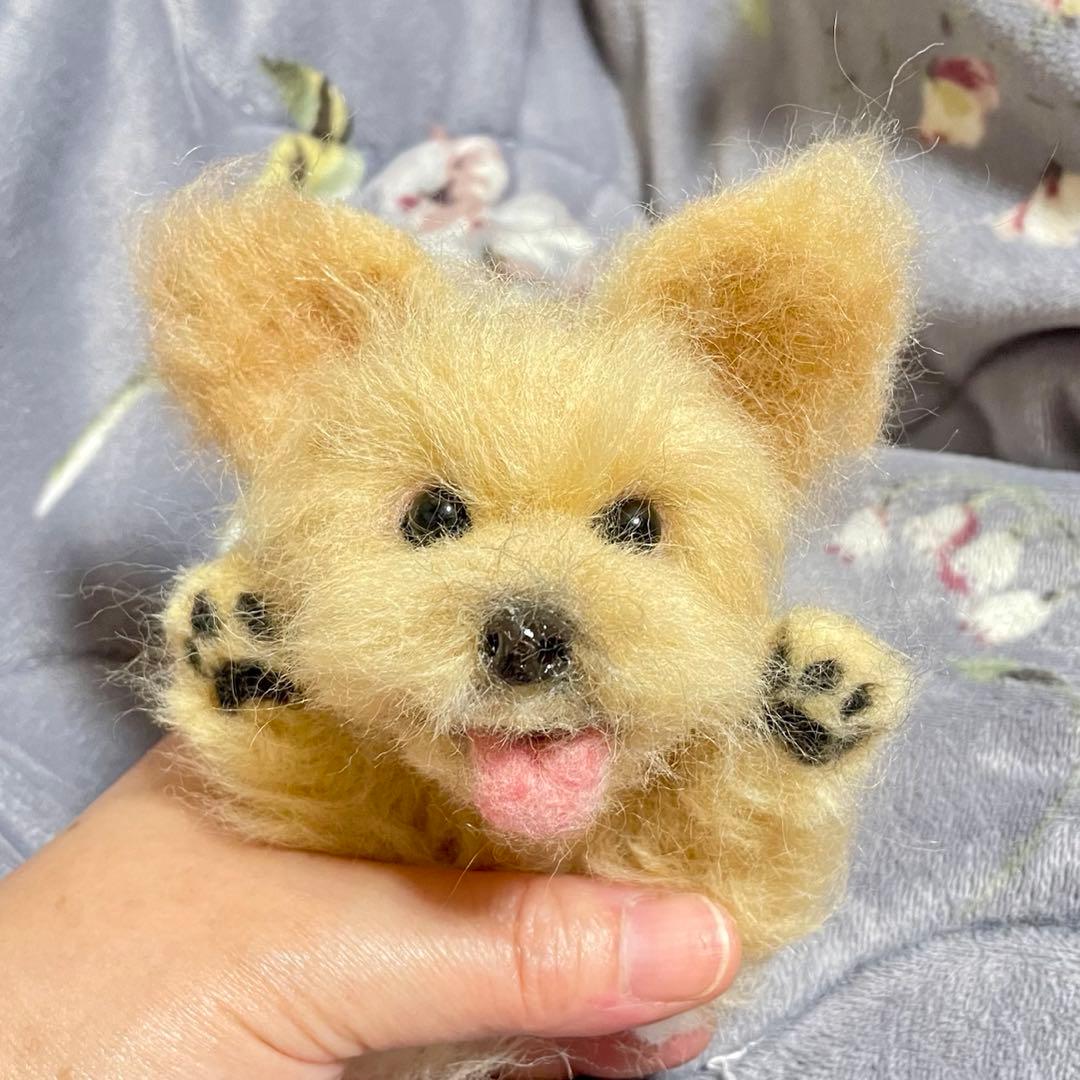 ☆rara ご確認用 ヨークシャーテリア ヨーキー