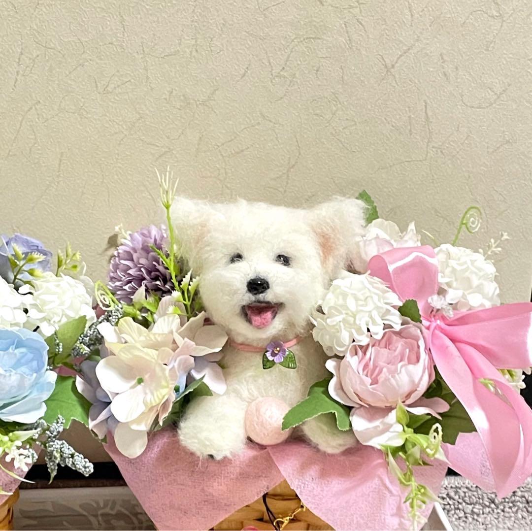 ☆rara ご確認用 ヨークシャーテリア ヨーキー