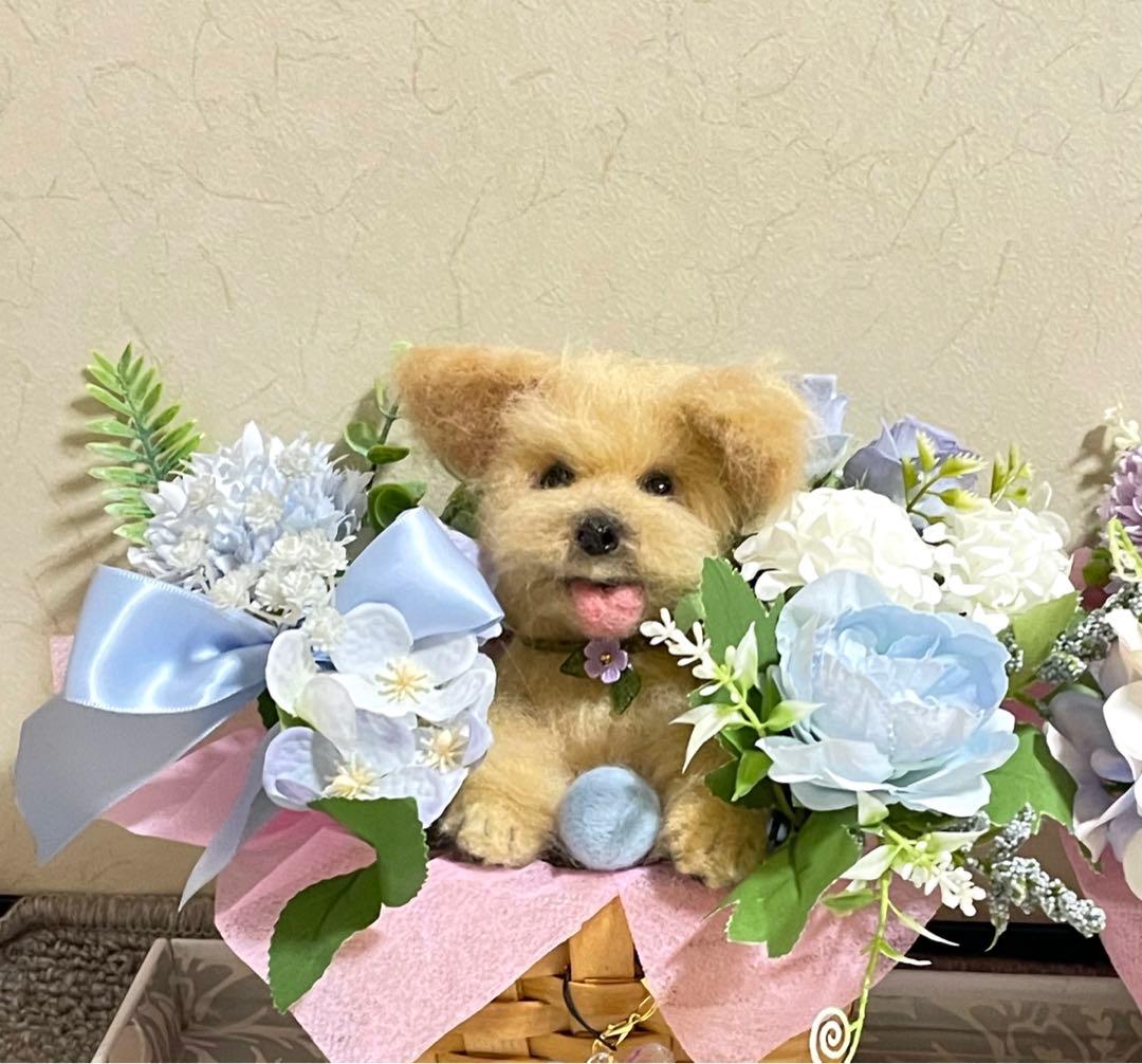 ☆rara ご確認用 ヨークシャーテリア ヨーキー