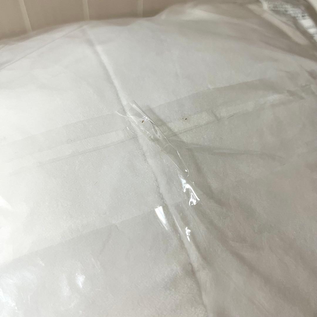 未開封 Stray Kids スキズ ヒョンジン ジニレット クッション