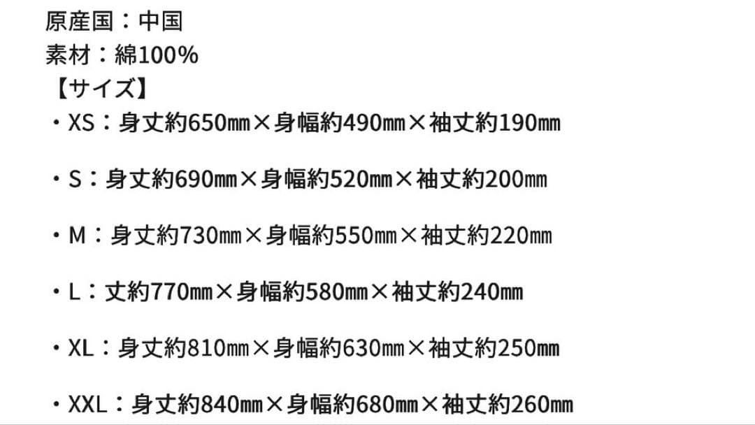 浜崎あゆみ 台北 台湾 Sサイズ 白 Tシャツ