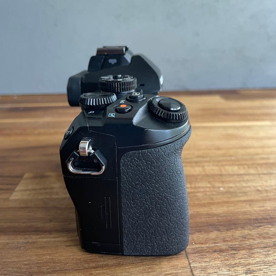 OLYMPUS OM-D E-M1 ミラーレス一眼カメラ