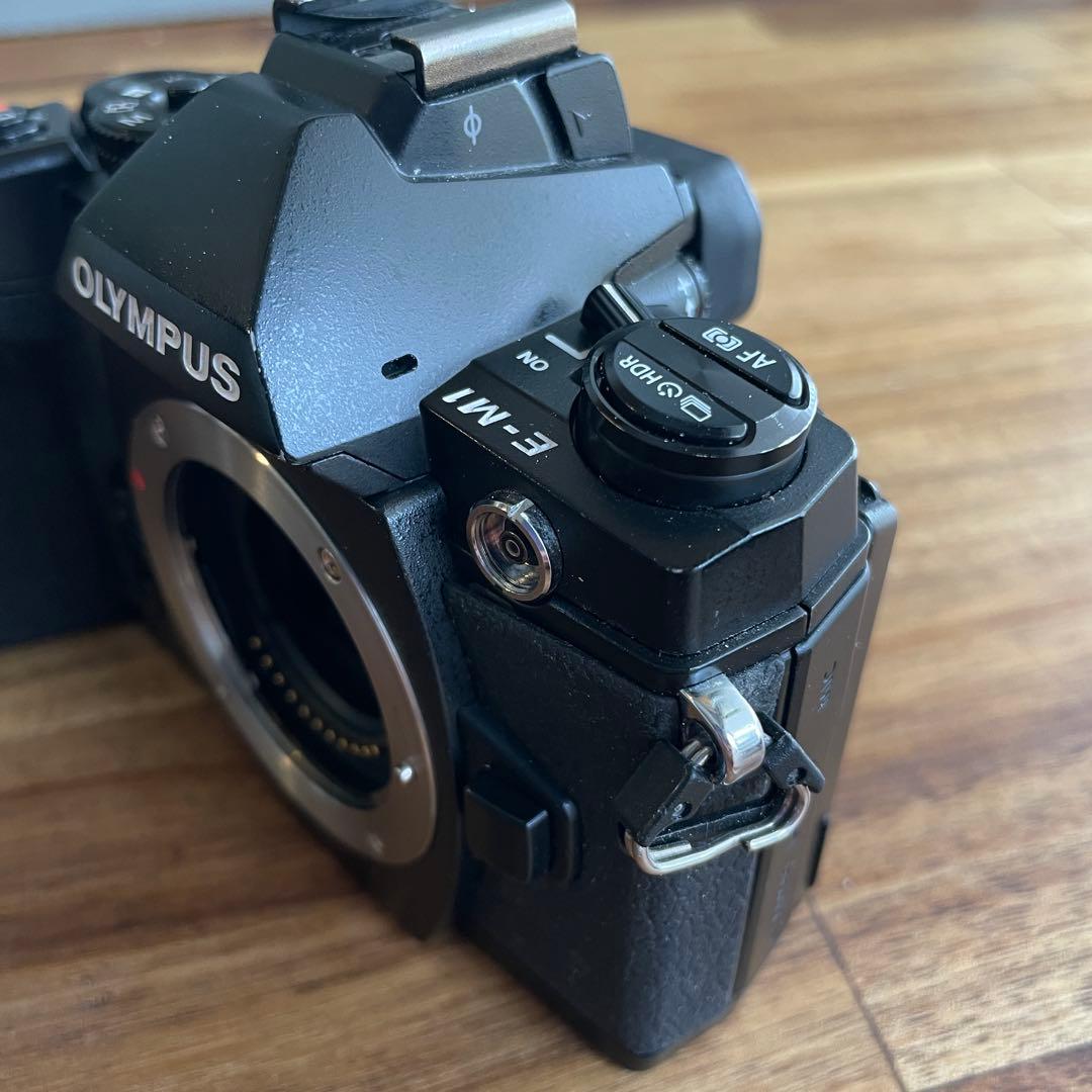 OLYMPUS OM-D E-M1 ミラーレス一眼カメラ