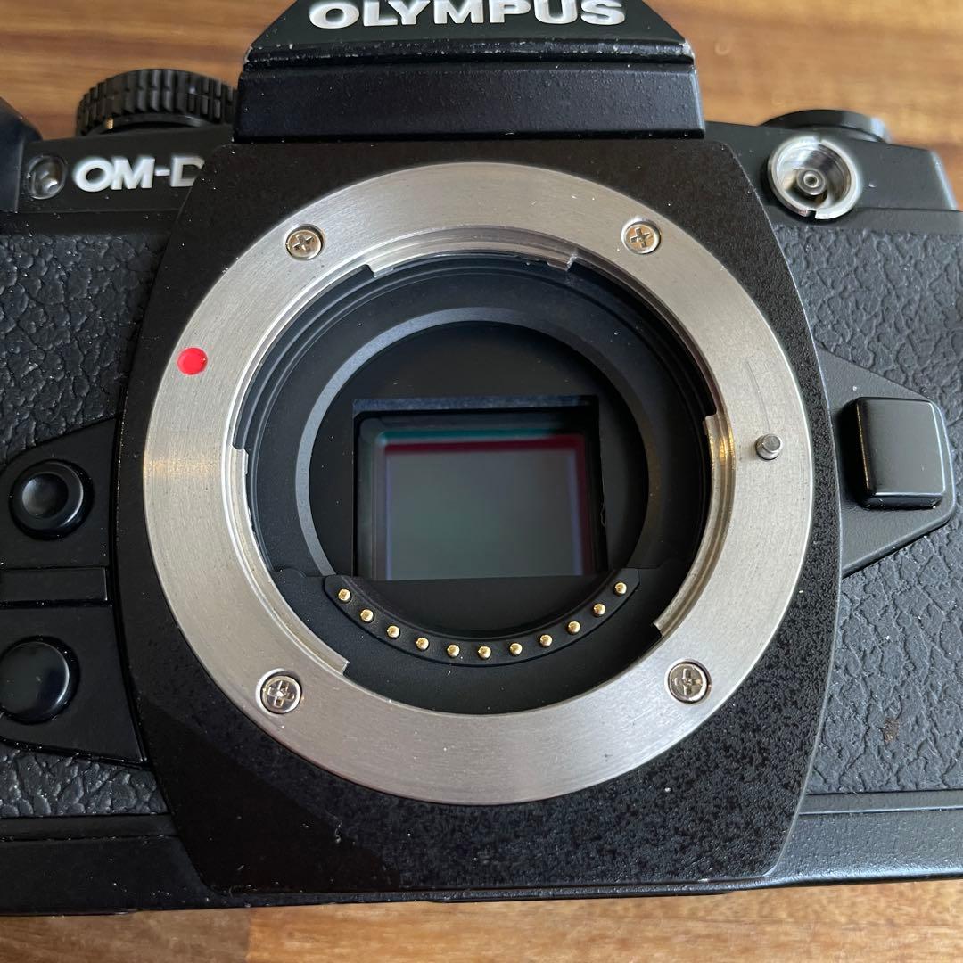 OLYMPUS OM-D E-M1 ミラーレス一眼カメラ