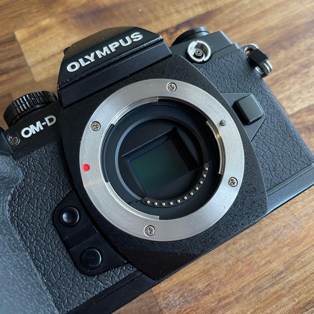 OLYMPUS OM-D E-M1 ミラーレス一眼カメラ