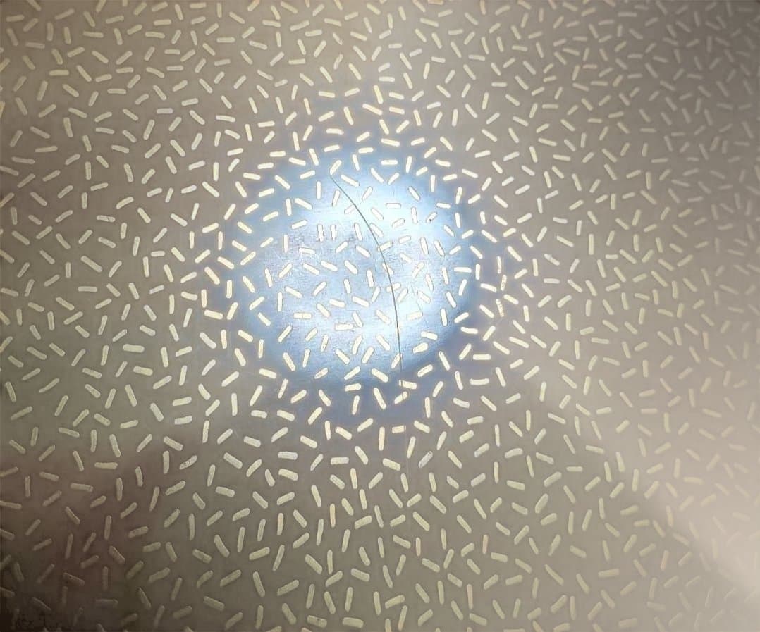 【会津塗】　eyes　尺三　 プレースマット　ランチョン　山鳩　金ドット　6枚